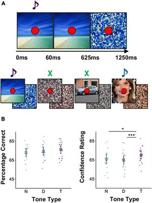 Auditory Target Detection Enhances Visual Processing and Hippocampal Functional Connectivity